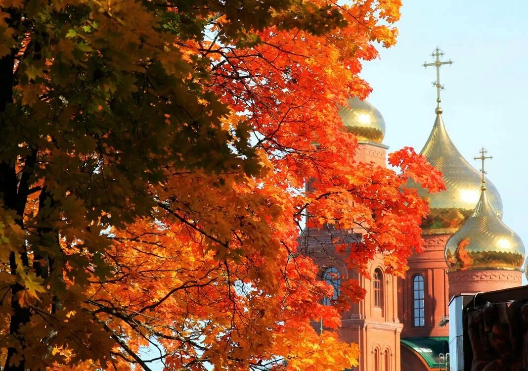 Осенний Брянск храм. Храм Лиски осень. Осенний храм Лиски. Храм Шебекинский осень.