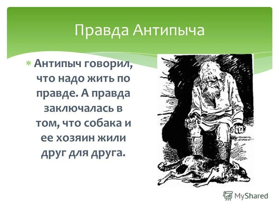 м пришвин кладовая солнца митраша и настя. кладовая солнца. пришвин кладовая солнца иллюстрации антипыч.