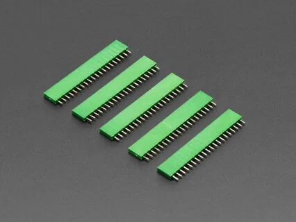 Pin 0000
