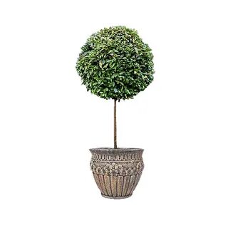 Round trees