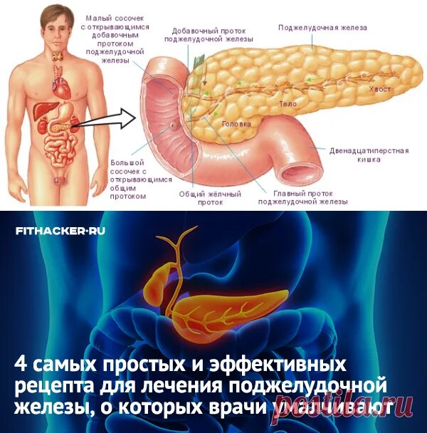 Первые признаки поджелудочной у мужчин. Заболела поджелудочная железа. Может ли болеть поджелудочная. Поджелудочная железа симптомы.