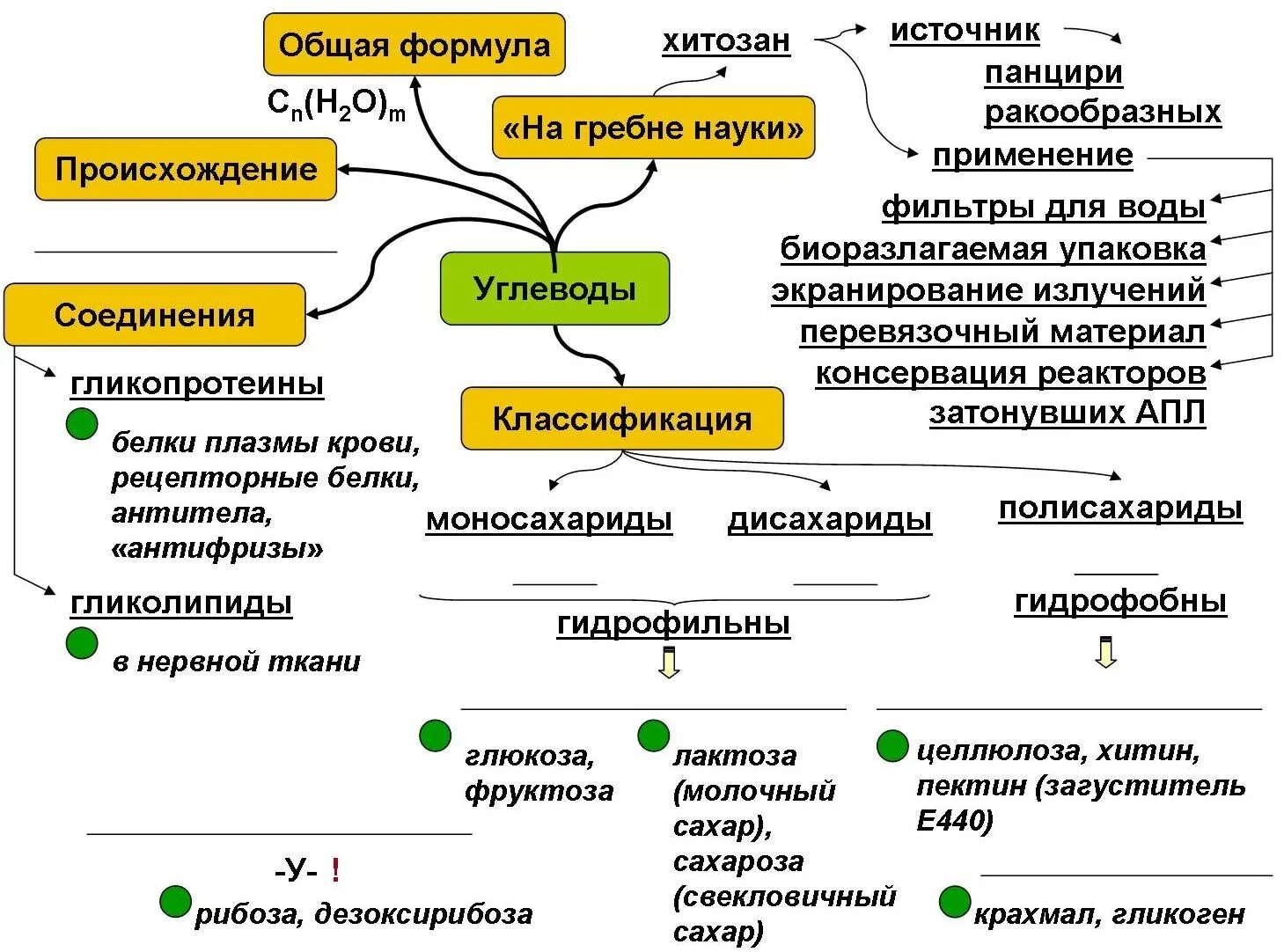Система конспектов занятий