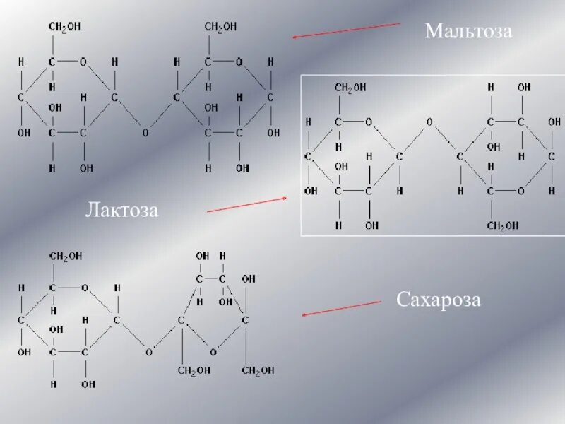 Лактоза строение молекулы. Сахароза мальтоза лактоза. Молекула лактозы. Лактаза молекула. Лактоза применение