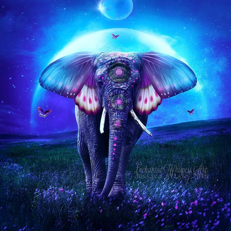 Elephant butterfly. Фантастические слоны. Волшебный слон. Картина слон. Мистические слоны.