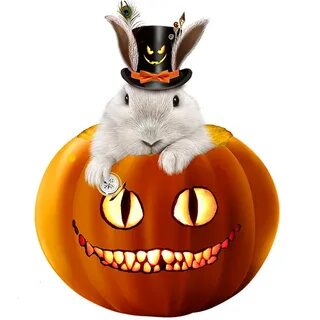 i?id=d7a7c4c03b401758dd41a23804bcfab7-44