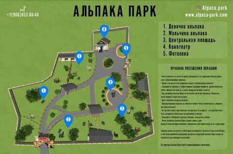 Парк альпак ростов на дону в парке