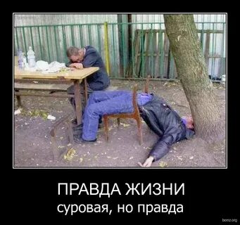Песня про алкашей