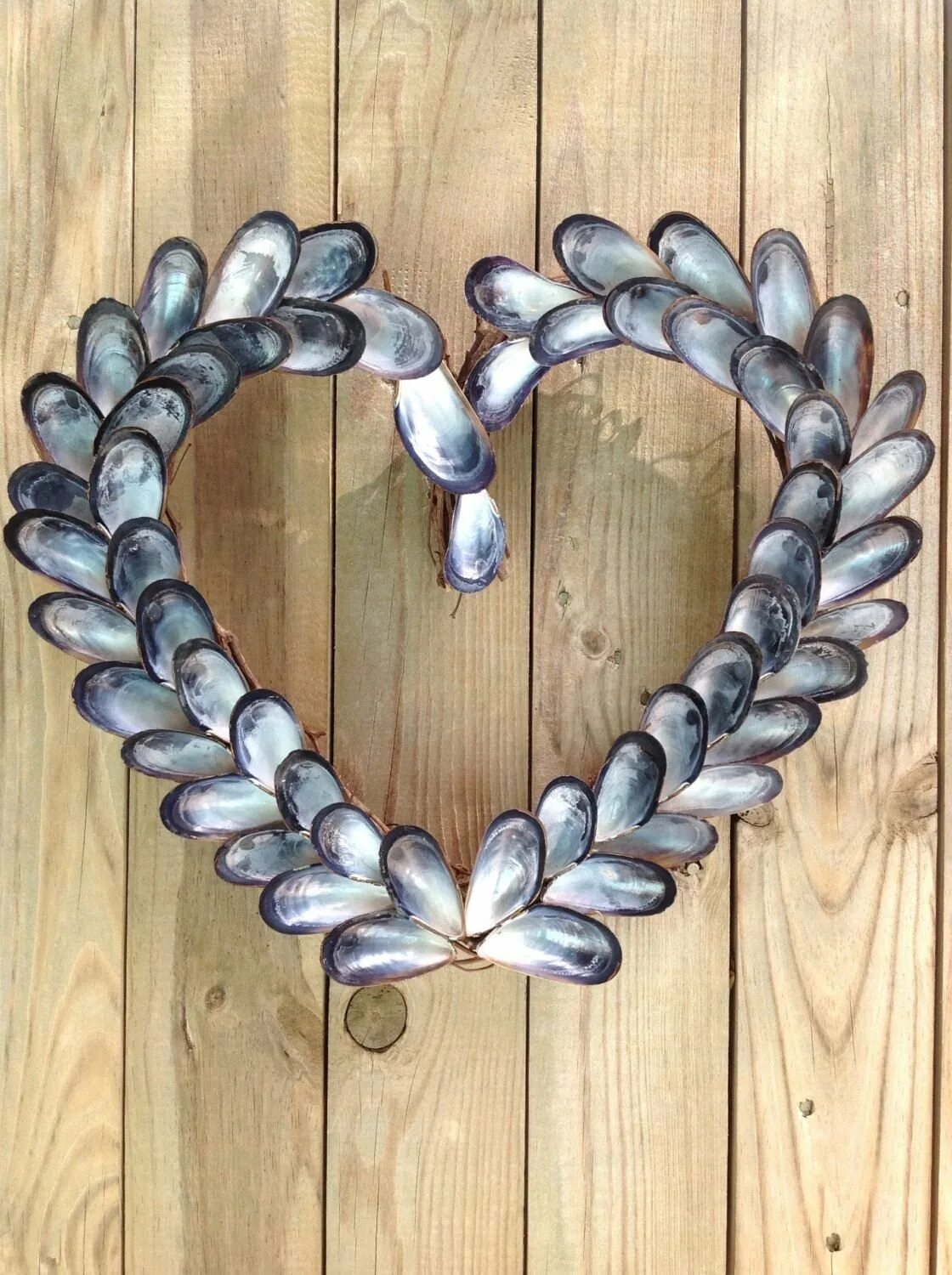 Поделка израковин мидиц. Поделки из мидий. Поделки из раковин мидий. Декор из раковин мидий. Цветы из ракушек.