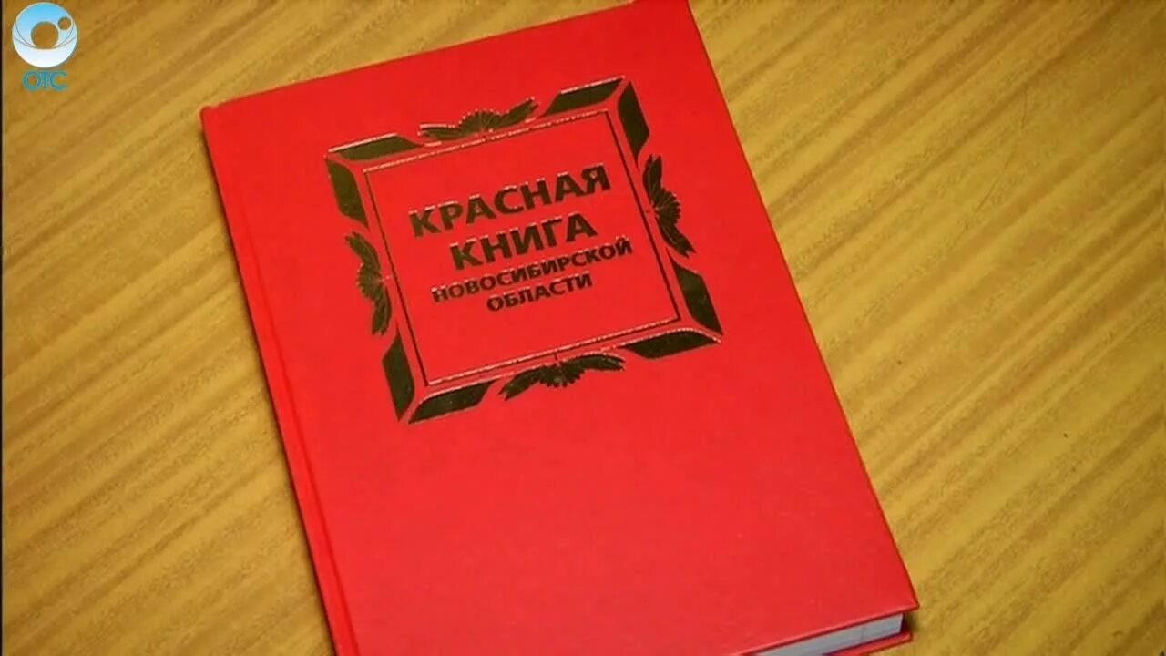 Красная книга новосибирска. Красная книга Новосибирской области обложка. Красная книга Новосибирской области книга. Красная книга обложка. Животные красной книги Новосибирской области.