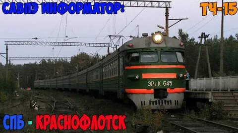 Лебяжий балтийский электричка
