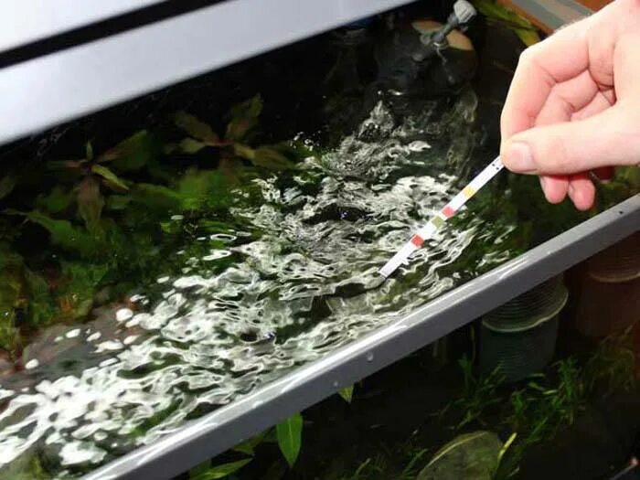 Залей рыбу водой. Заливаем воду в аквариум. Отстаивать воду для аквариума. Отстоянная вода для аквариума. Дехлорирование воды для аквариума.