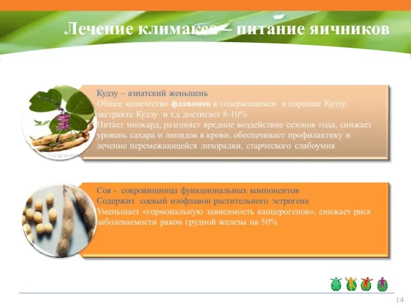Как лечить дисфункцию яичников. Еда для яичников. полезные продукты для яичников. что полезно для яичников женщин. продукты полезные для яичников у женщин.
