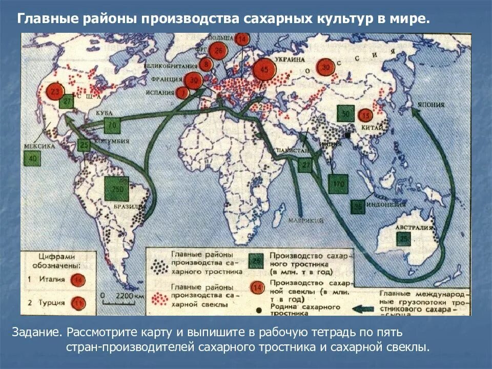 Районы производства сахарной свеклы в мире. Главные районы производства масличных культур. Грузопотоки сахарного тростника в мире.