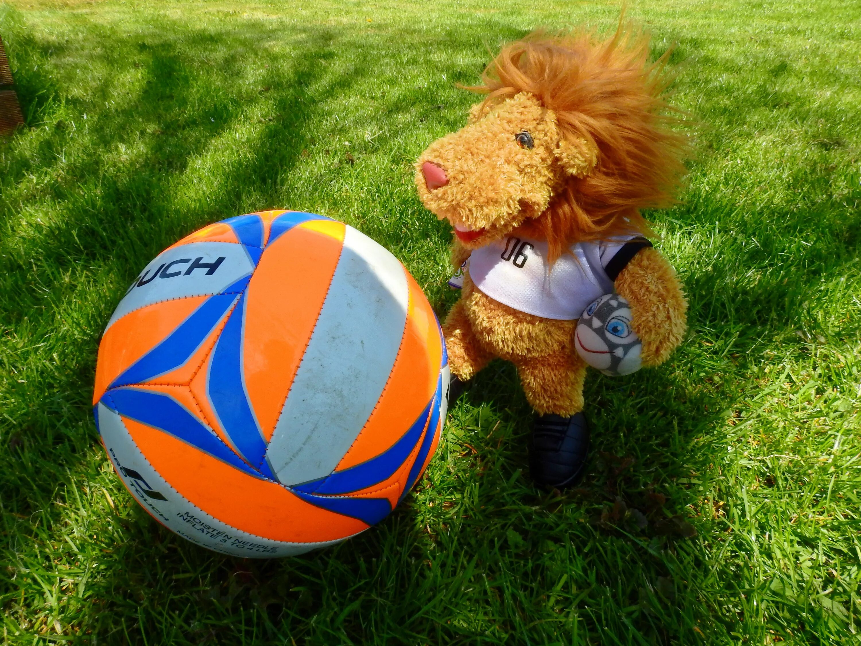 Игра мяч на траве. Мячик с животными. Спортивные мячи. Мячик детский. Веселый мячик.