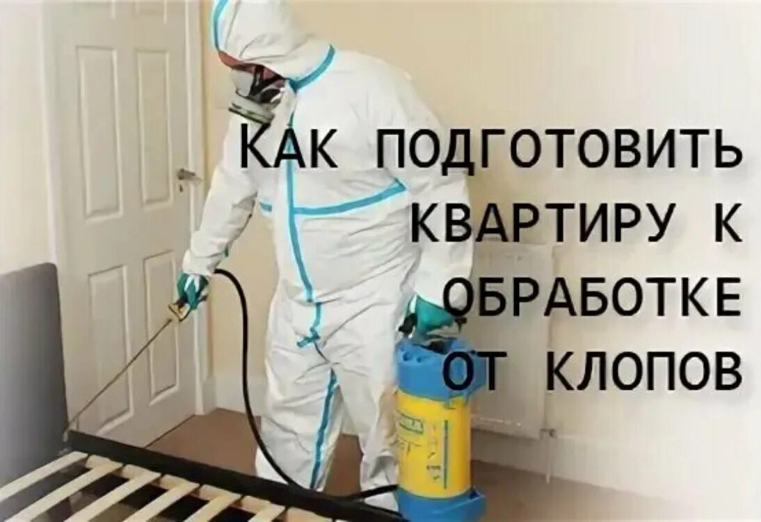 Как правильно обрабатывать от клопов. Обработка от клопов в квартире. подготовка квартиры к обработке от клопов. как подготовить квартиру к обработке от клопов. подготовка помещения для обработки от клопов.