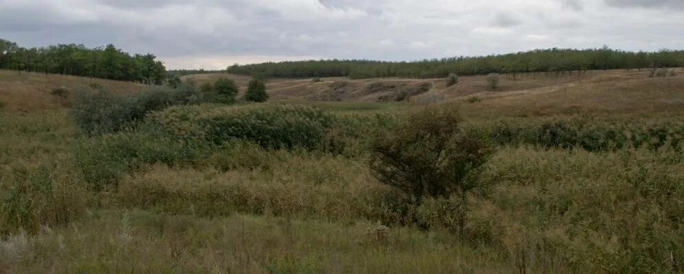 Старченково донецкая область. Старченково. Село старченково старсенковская школа. Село старченково старченковский садик. Село старченково,дом ветеранов,контакты.