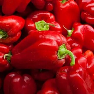 Семена перца египетская сила