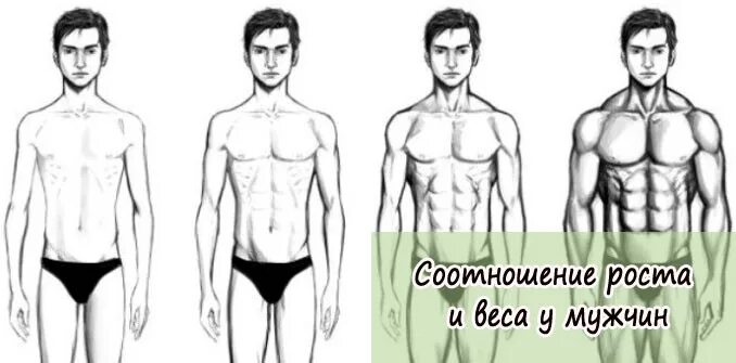 Масса мужчин 18. Рост и вес мужчины. Вес мужчины. Идеальные мужские пропорции. Комплекция тела мужчины по росту и весу.