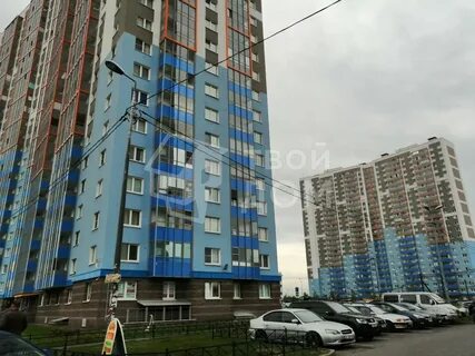 Витебский 99