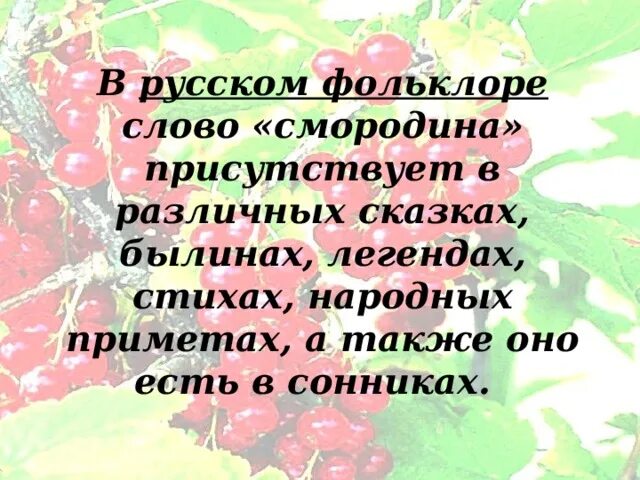 Слово смородина. Слова от слова смородина. Смородинка текст. Происхождение слова смородина. Sevenrose черная смородина текст