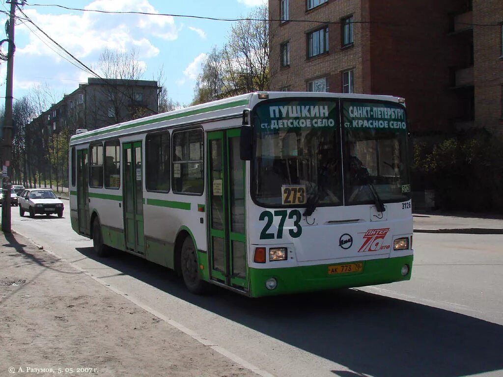 Автобус 273 СПБ. Автобус Пушкин. Автобус 273 Москва. 375 Автобус Пушкин.