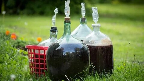 Самогон из вина домашнего приготовления