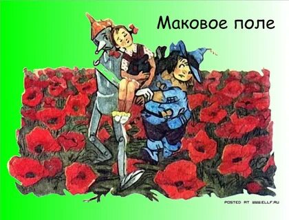 Волшебник изумрудного города маковое поле