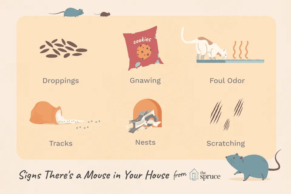 There is a mouse. There are mice.