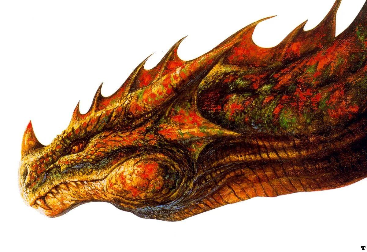 Голова дракона 3д. Морда дракона. Башка дракона. Головы драконов. Смауг дракон.