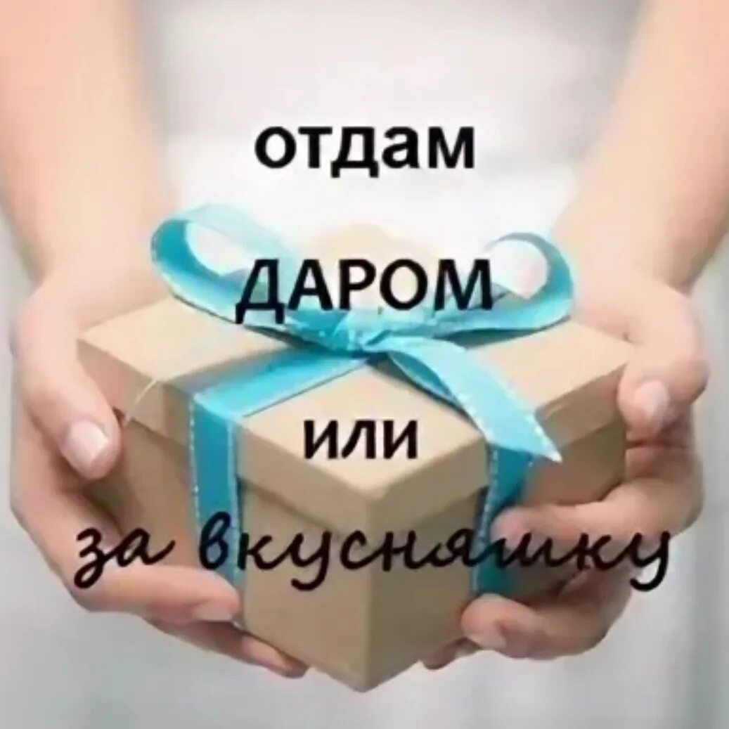 Подарить отдать