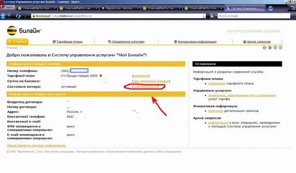 Почему заблокировали билайн. Заблокировать номер Билайн. Билайн блокировка номера при неиспользовании. Блокировка номера Билайн через личный кабинет. Разблокировать номер Билайн.