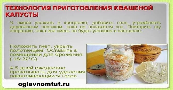 Норма соли на кг капусты при квашении. Квашеная капуста пропорции. технология приготовления квашеной капусты. чем отличается квашеная капуста от соленой. соотношение для квашеной капусты.