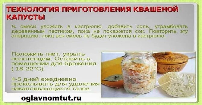 Квашеная капуста дни сколько. Технология приготовления квашеной капусты. Пропорции для квашения капусты. Чем отличается квашеная капуста от соленой. Квашеная капуста соль на кг капусты.