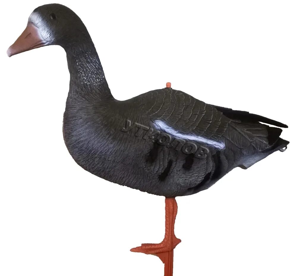 Чучела белолобого гуся. Спортпласт чучела гусей казаки pl 940. Чучела гусей спорт пласт альфа гуменник. Чучела гусей спорт пласт. Чучела гусей спорт пласт.