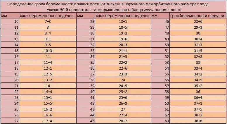 Программа 40 недель