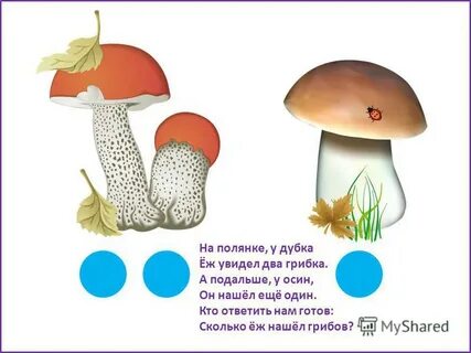 На поляне мы увидели