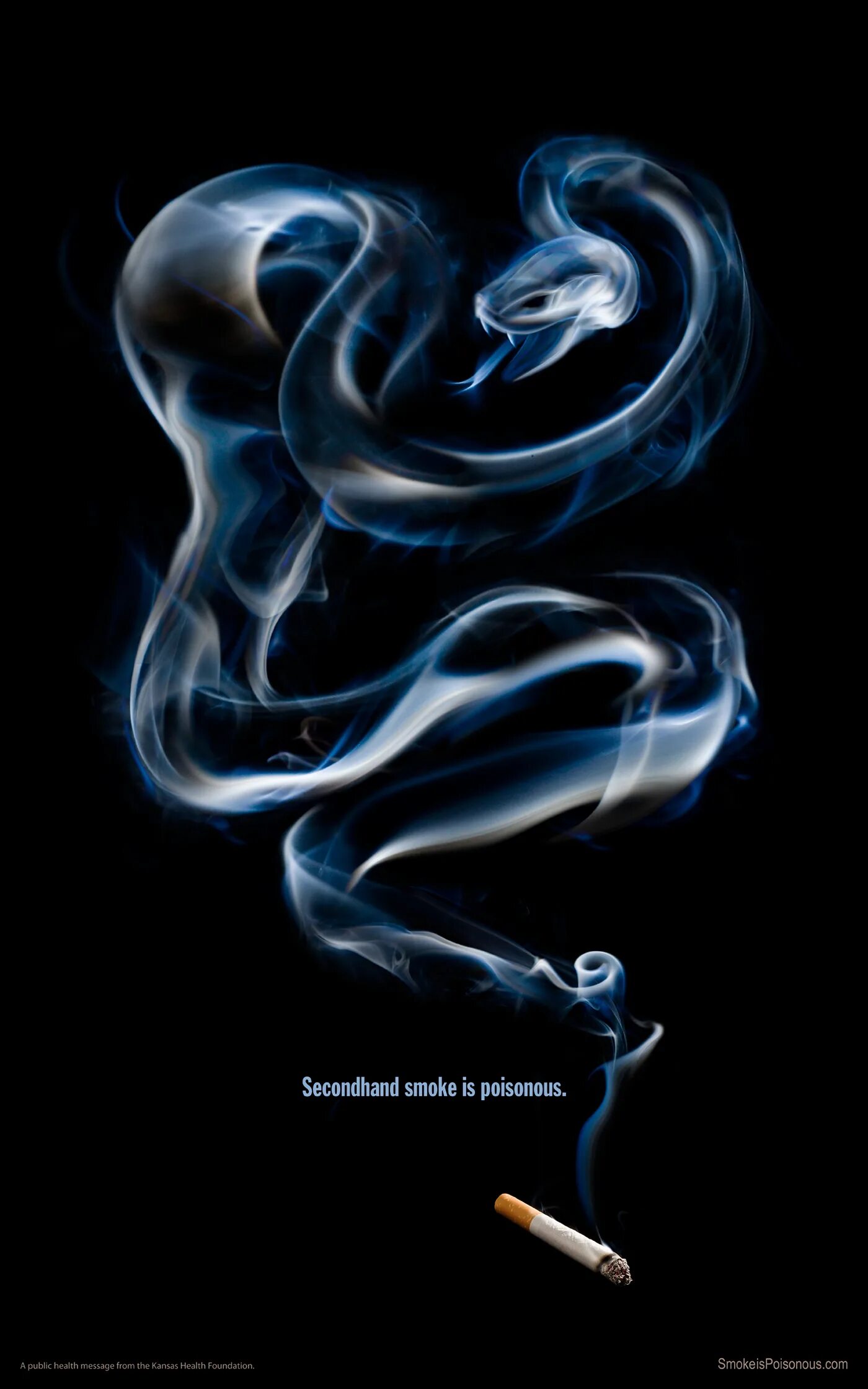 Smoke snake