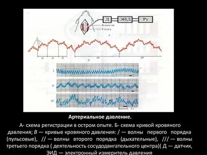 Волны давления