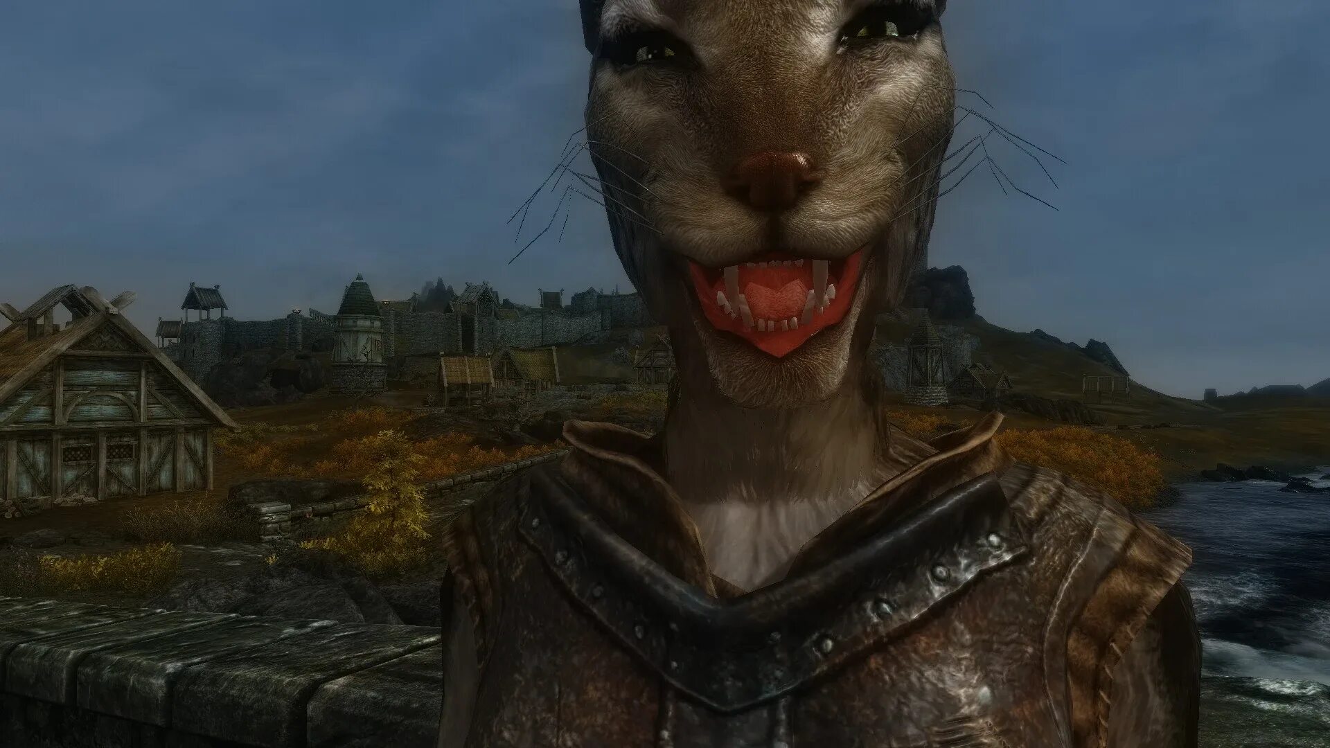 Skyrim мод броня тамплиера. Skyrim моды на боевку. моды на скайрим legendary edition броня. Skyrim моды на боевку. Skyrim legendary edition мод на броню.