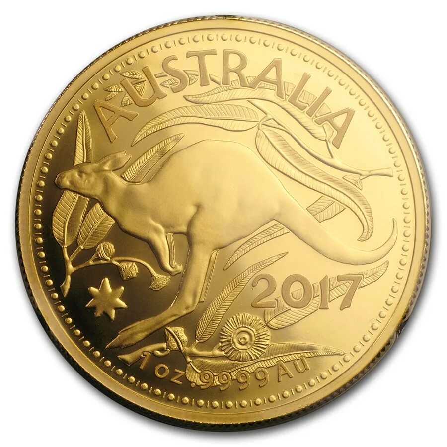 Монета Royal Australian Mint кенгуру Australian Kangaroo. Австралийский кенгуру Золотая монета. Gold Coin Kangaroo 1/2 oz 1990.