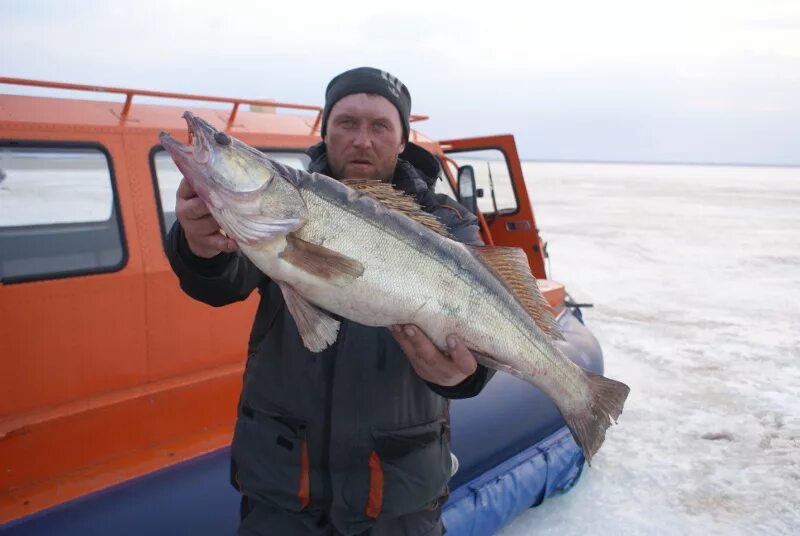 Рыбинское водохранилище рыбалка. Рыболовная база Ухра на Рыбинском водохранилище. Рыбинское водохранилище зимняя рыбалка. Ухра Рыбинское водохранилище. Рыба на рыбинском водохранилище