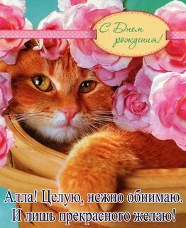 С днем рождения женщине красивые с кошками