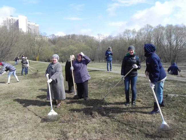 Управа Южное Тушино. Глава управы Южное Тушино. Управа Северное Тушино на субботнике. Глава управы Южное Тушино Захаров. Сайт южное тушино