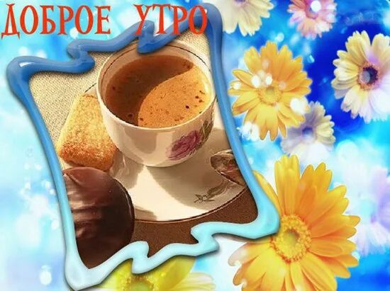 1 е утро. Открытки с добрым утром августа. открытки с добрым утром 1 августа. открытки доброе утро август. открытки с добрым утром августовским утром.