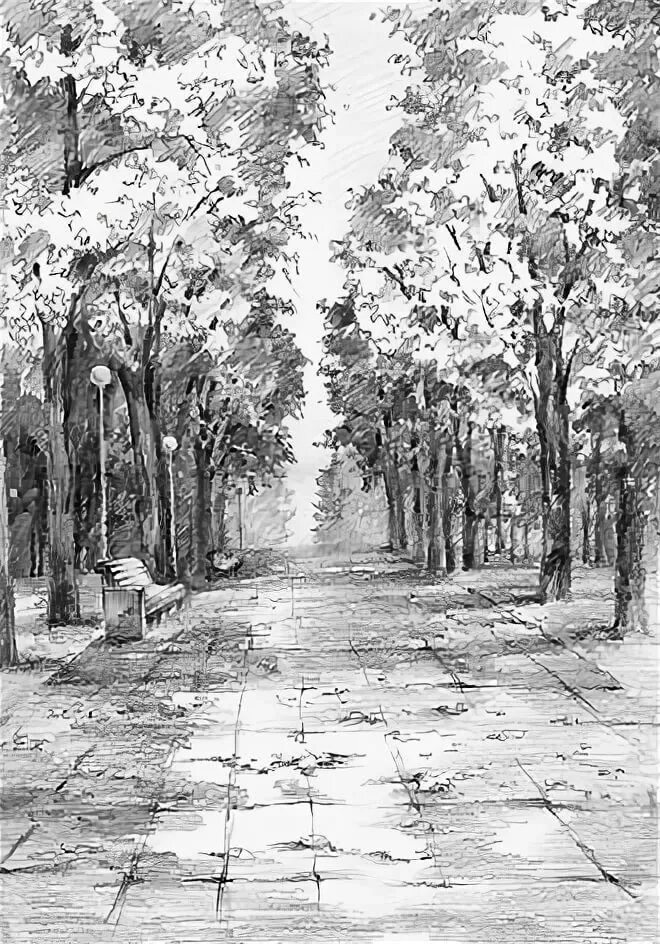 Рисунок аллея деревьев. Аллея карандашом. парковый пейзаж карандашом. аллея в перспективе графика. парковый пейзаж в графике.