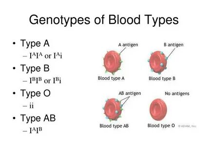 Blood types