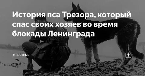 Спаси голод