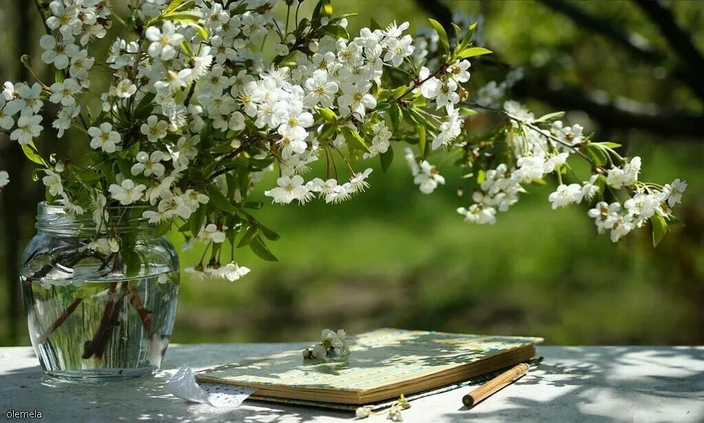 Доброе утро весны проза. Весеннее утро в саду. Весеннее утро в яблоневом цвету. Натюрморт с черемухой. Весенние цветы черемуха.