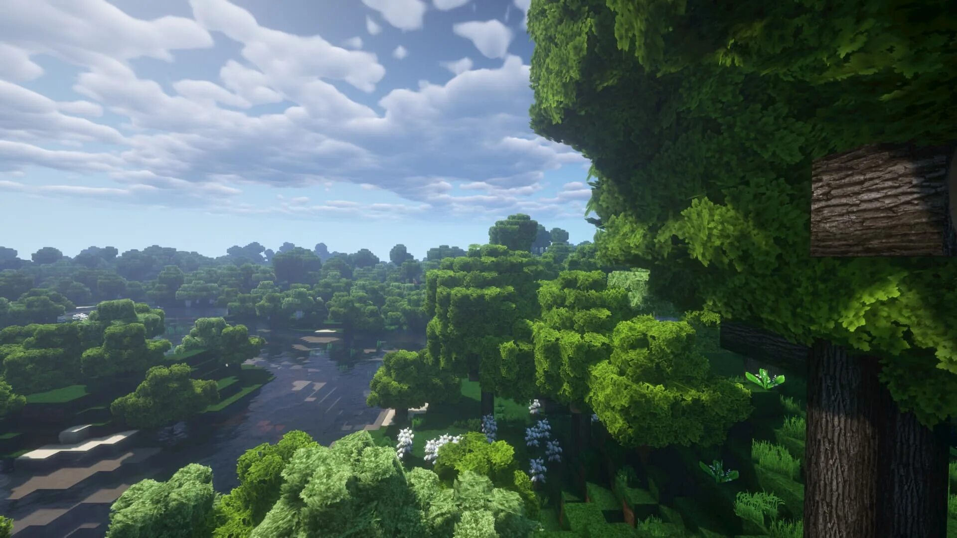 Animation resource pack