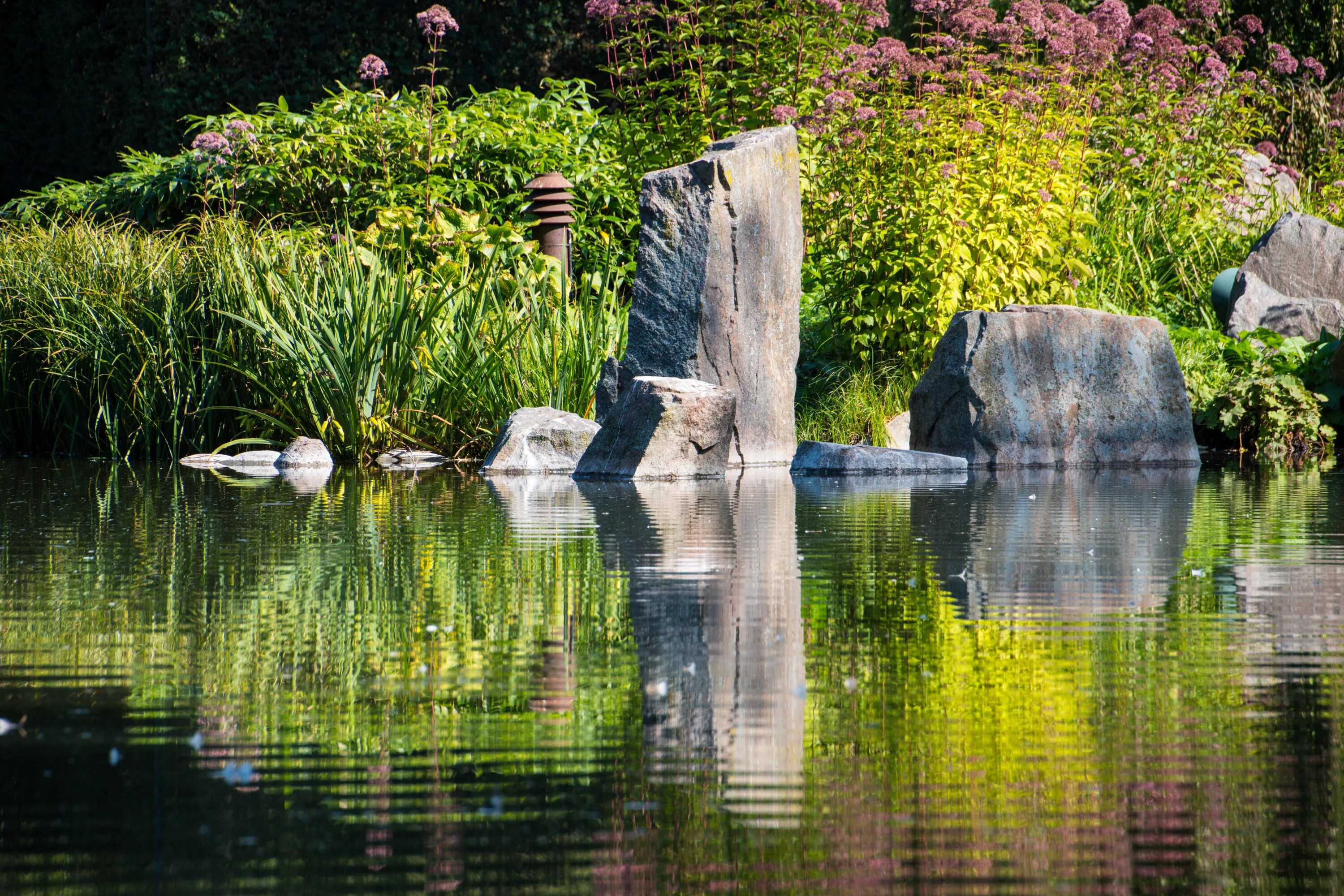 Растения под водой. Водопады ручья афипский. Каскады водопадов в ландшафте. Ботанический сад мост. Сады под водой.